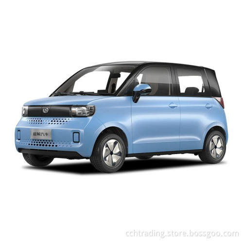 البيع الساخن في الأسهم الشمسية السيارة 115V الجهد المتوسط ​​600W نظام الطاقة الشمسية RHD/LHD السيارات الجديدة سيارات كهربائية